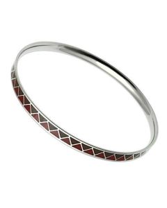 JCE529 High polished (no plating) Stainless Steel Bangle with Epoxy in Siam