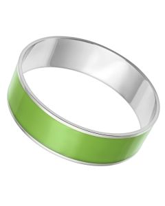 JCE787 High polished (no plating) Stainless Steel Bangle with Epoxy in Emerald