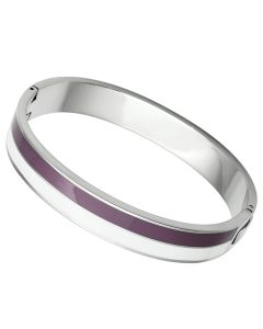JCE790 High polished (no plating) Stainless Steel Bangle with Epoxy in Multi Color